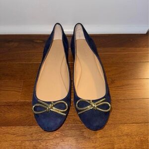 Elegant Blue and Gold Flats